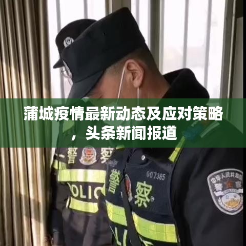 蒲城疫情最新动态及应对策略，头条新闻报道