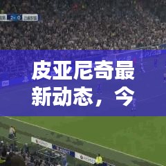 皮亚尼奇最新动态，今日头条新闻报道独家解析