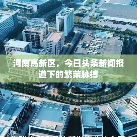 河南高新区，今日头条新闻报道下的繁荣脉搏