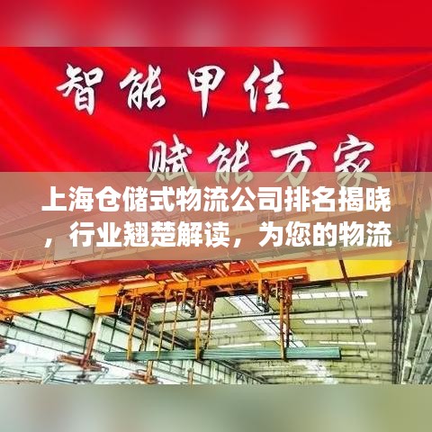 上海仓储式物流公司排名揭晓，行业翘楚解读，为您的物流需求精选优质参考伙伴