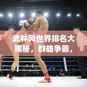 武林风世界排名大揭秘，群雄争霸，谁将成为风云领袖？