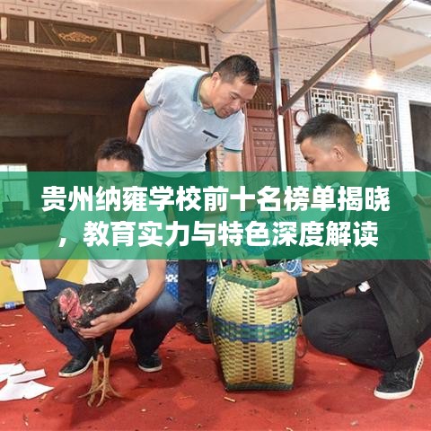 贵州纳雍学校前十名榜单揭晓，教育实力与特色深度解读