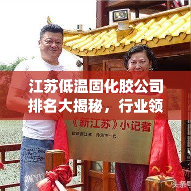 江苏低温固化胶公司排名大揭秘，行业领军者的激烈角逐！