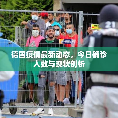 德国疫情最新动态，今日确诊人数与现状剖析