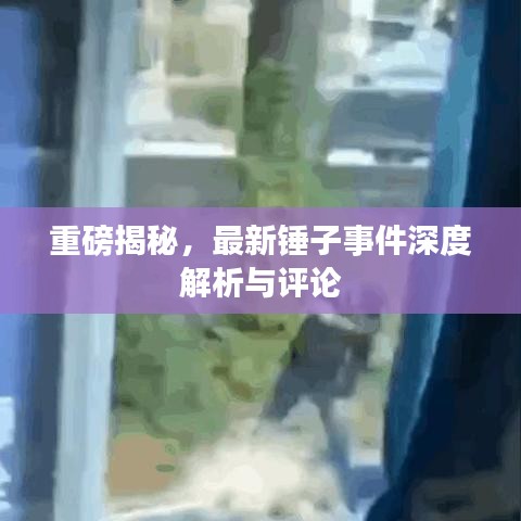 重磅揭秘，最新锤子事件深度解析与评论