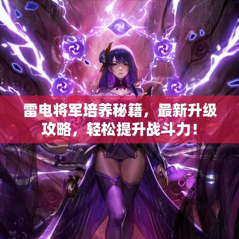 雷电将军培养秘籍，最新升级攻略，轻松提升战斗力！