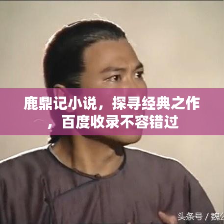 鹿鼎记小说，探寻经典之作，百度收录不容错过