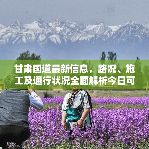 甘肃国道最新信息，路况、施工及通行状况全面解析今日可查