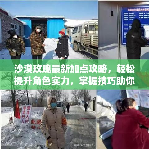 沙漠玫瑰最新加点攻略，轻松提升角色实力，掌握技巧助你成为顶尖玩家！