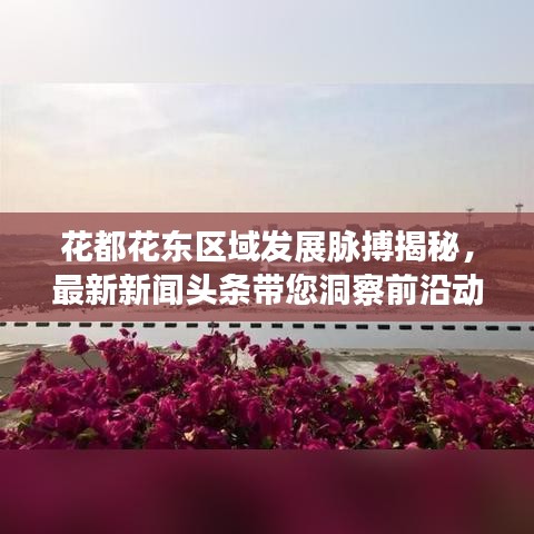 花都花东区域发展脉搏揭秘，最新新闻头条带您洞察前沿动态