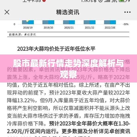 股市最新行情走势深度解析与观察