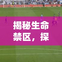 揭秘生命禁区，探索未知世界，关注生命奇迹新闻头条