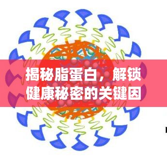 揭秘脂蛋白，解锁健康秘密的关键因子，百度下载助你深入了解