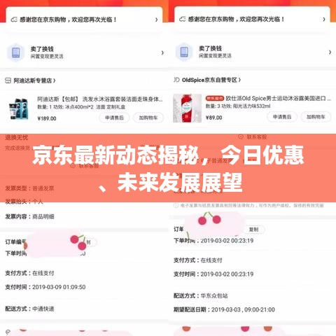 京东最新动态揭秘，今日优惠、未来发展展望