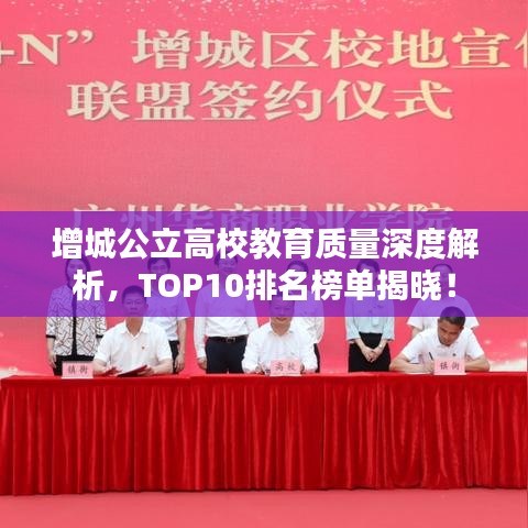 增城公立高校教育质量深度解析，TOP10排名榜单揭晓！