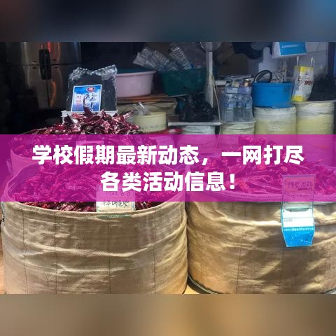 学校假期最新动态，一网打尽各类活动信息！