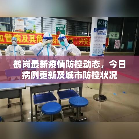 鹤岗最新疫情防控动态，今日病例更新及城市防控状况