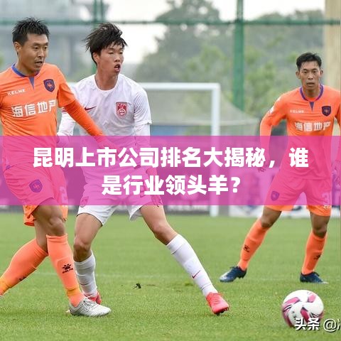 昆明上市公司排名大揭秘，谁是行业领头羊？