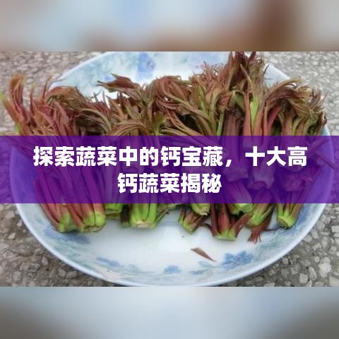 探索蔬菜中的钙宝藏，十大高钙蔬菜揭秘