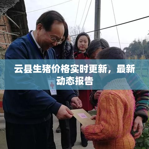 云县生猪价格实时更新，最新动态报告