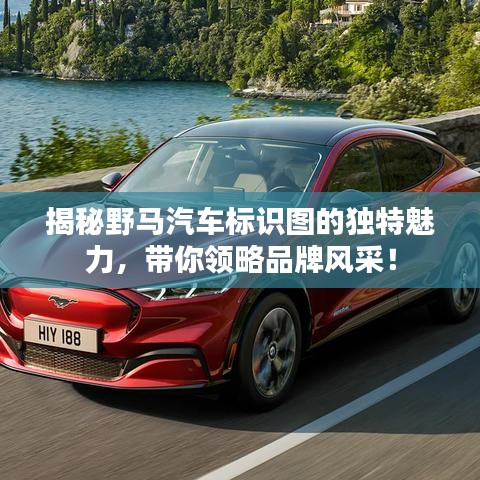 揭秘野马汽车标识图的独特魅力，带你领略品牌风采！