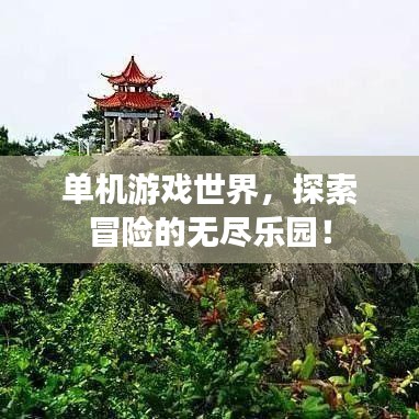 2025年6月30日 第5页