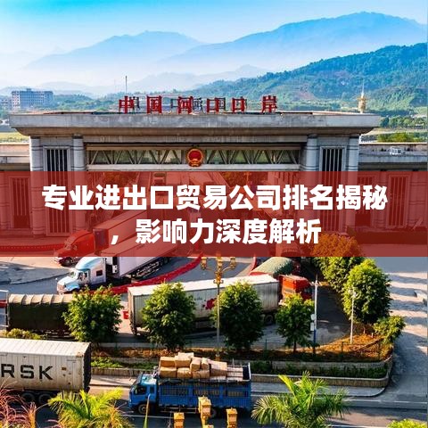 专业进出口贸易公司排名揭秘，影响力深度解析