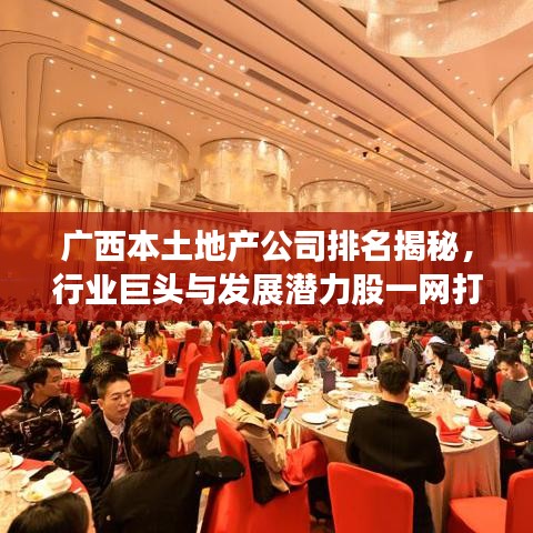广西本土地产公司排名揭秘，行业巨头与发展潜力股一网打尽