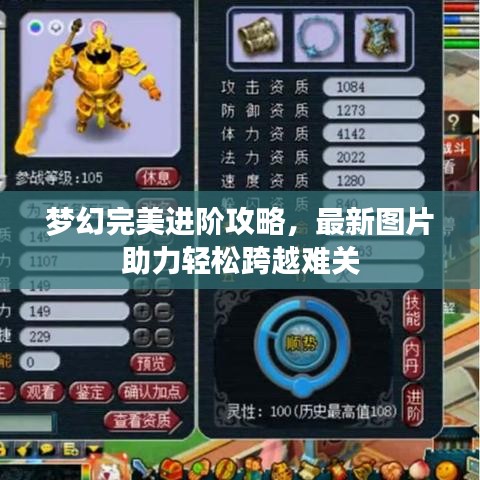 梦幻完美进阶攻略，最新图片助力轻松跨越难关