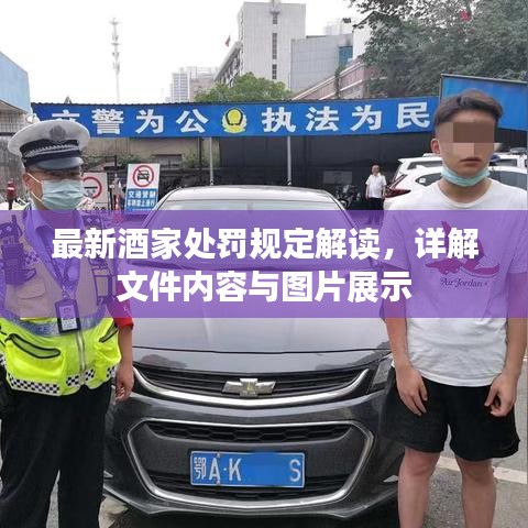 最新酒家处罚规定解读，详解文件内容与图片展示