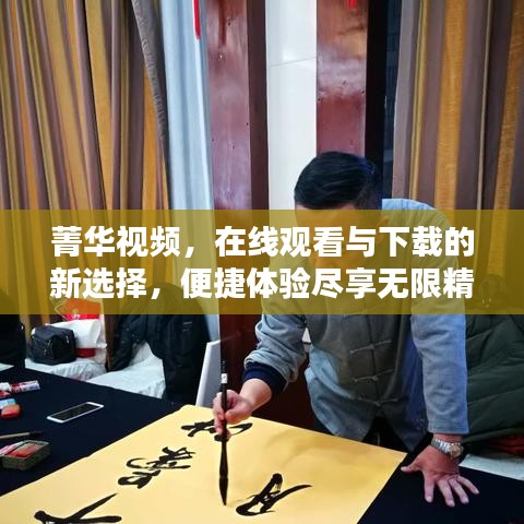 菁华视频，在线观看与下载的新选择，便捷体验尽享无限精彩